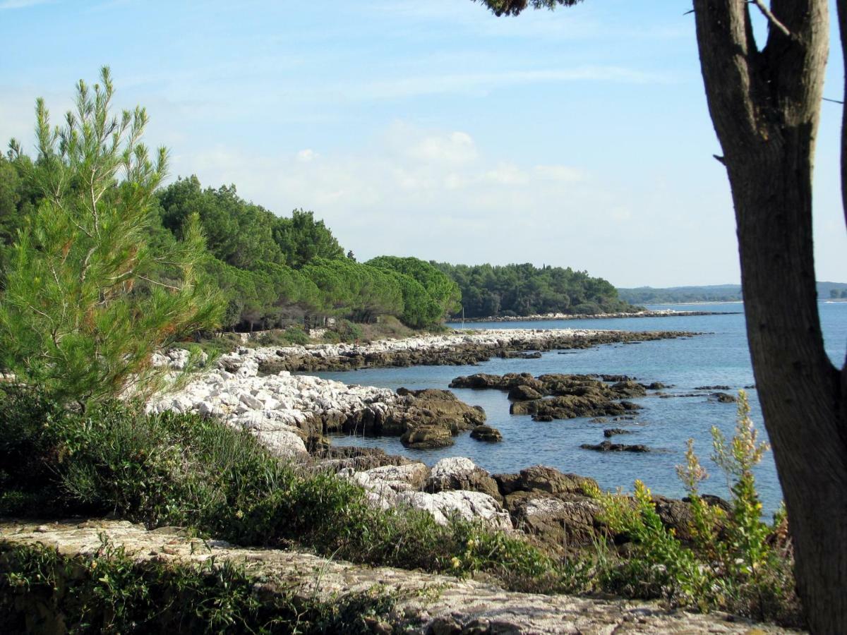 Apartment Beba Rovinj Zewnętrze zdjęcie